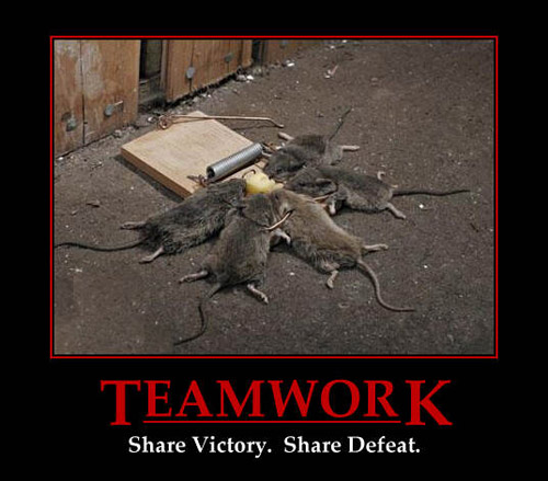 teamwork_-_share_victory_share_defeat.jpg